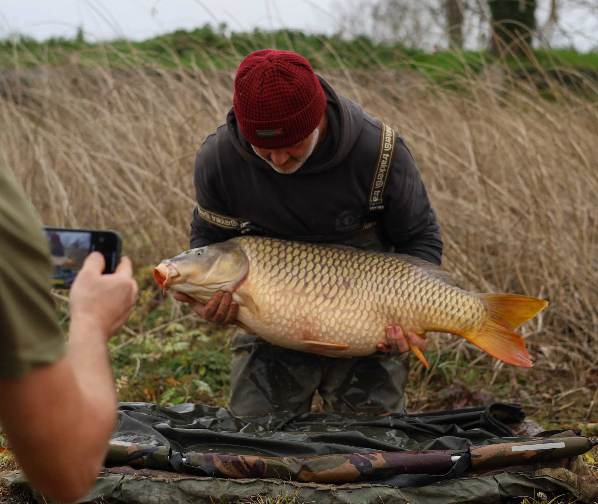 Angler holding a large common carp on an unhooking mat at a French public lake
