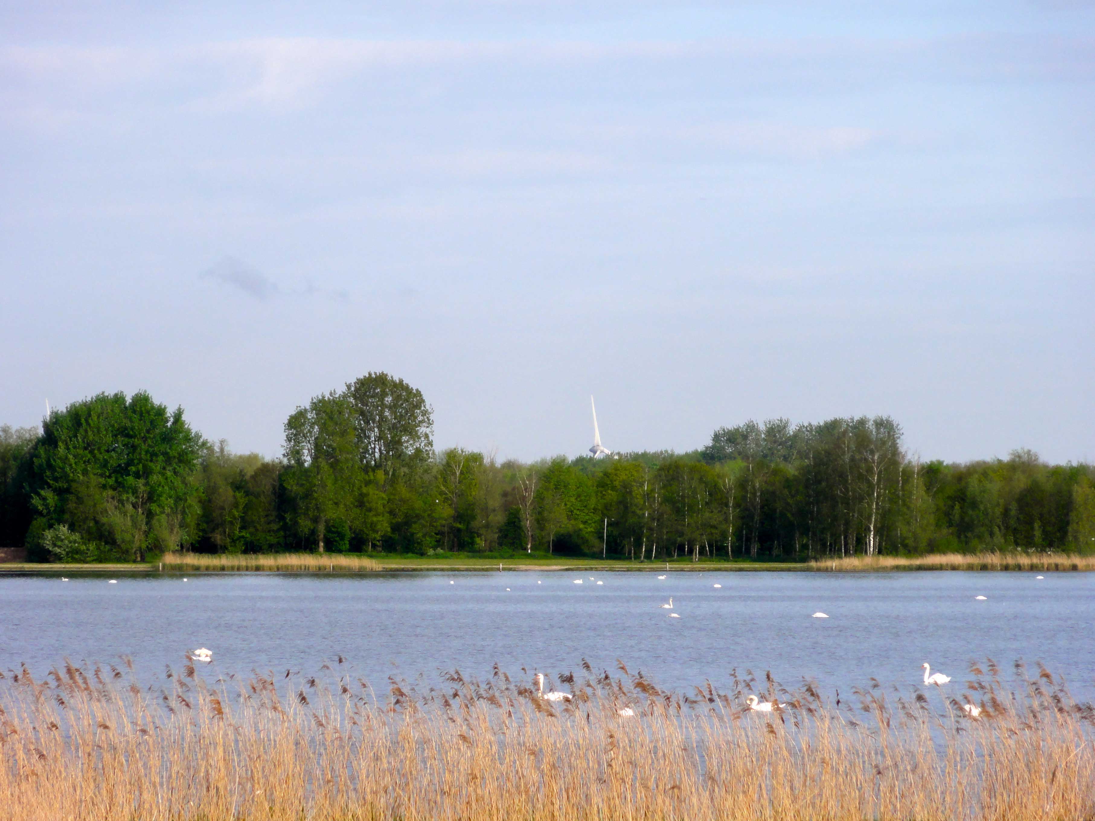 Veluwemeer lake Netherlands fishing