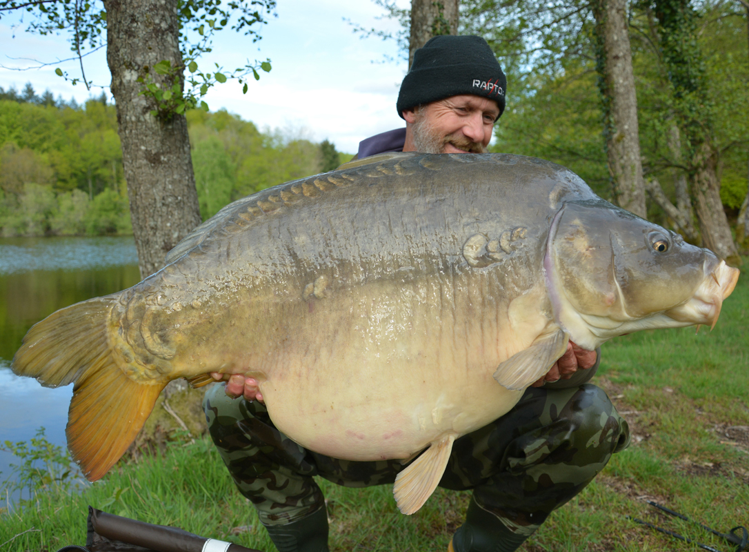 Fish at Fensmere