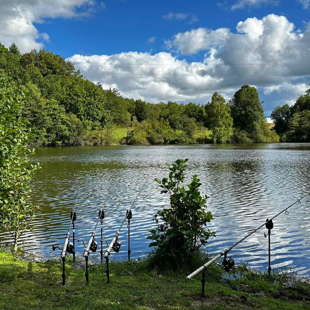 Swims at Fensmere