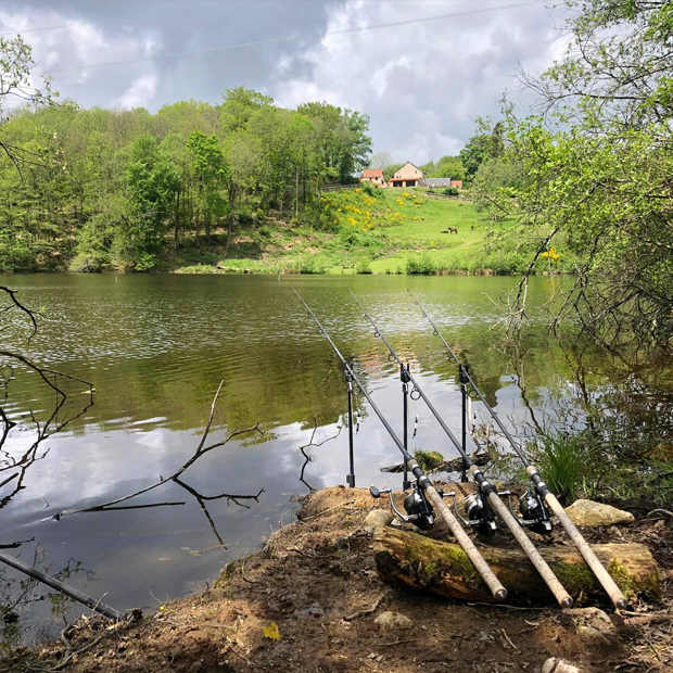 Swims at Fensmere