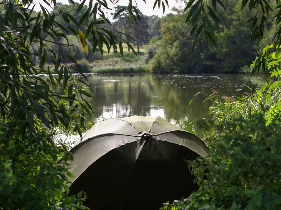 Swims at Piscatorian